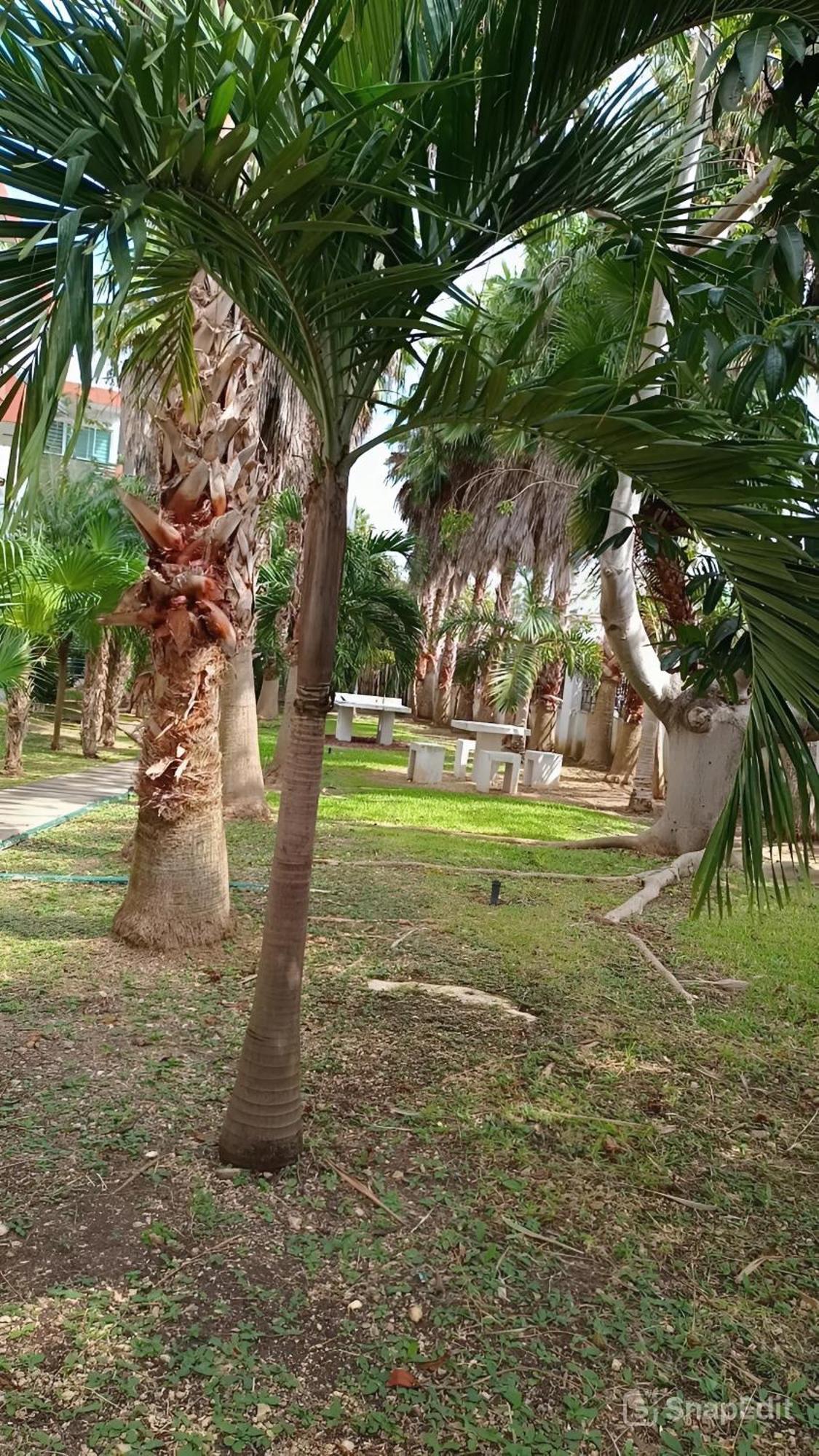 Playa Zen Apartamento *