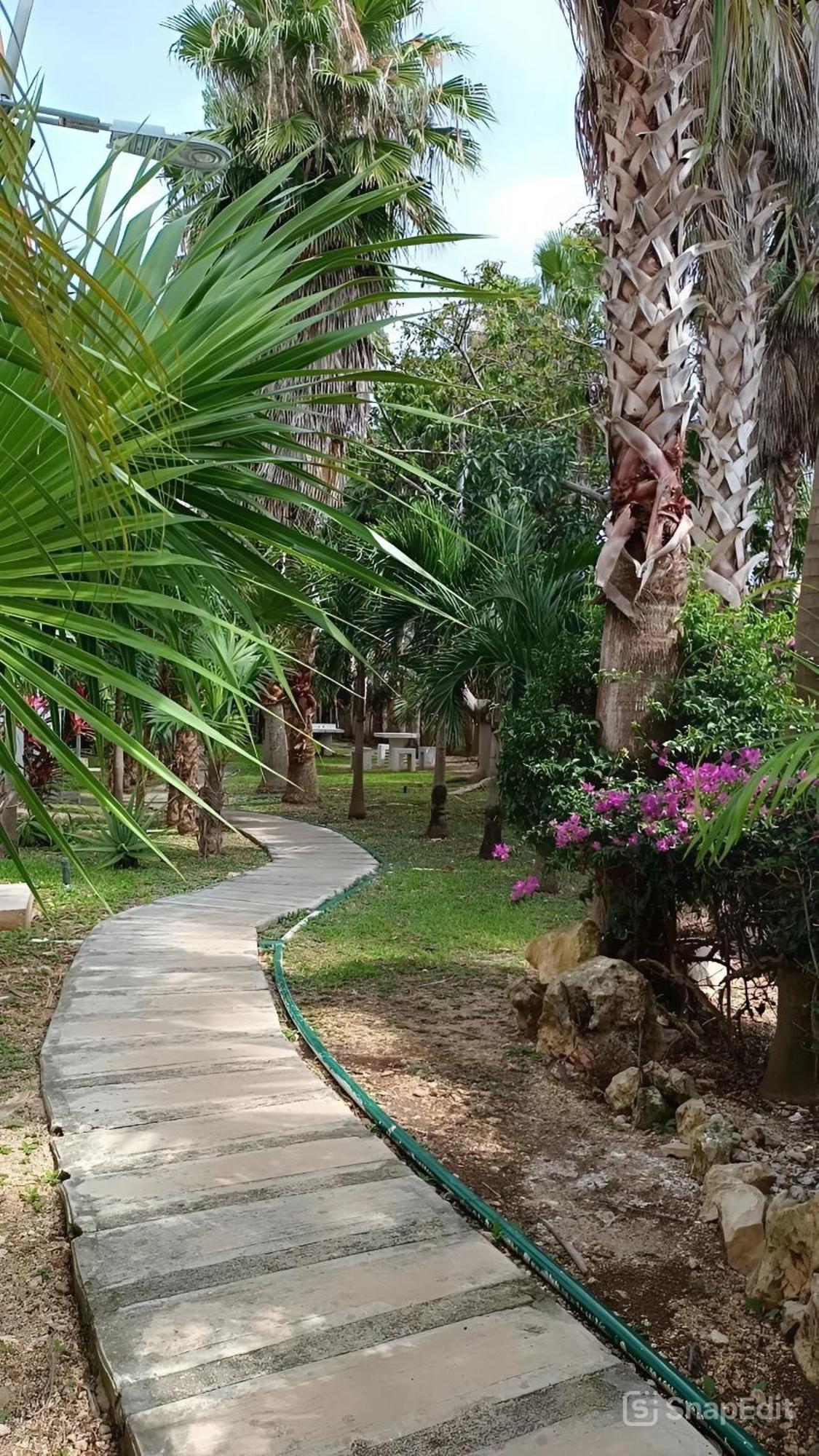 Playa Zen Apartamento *